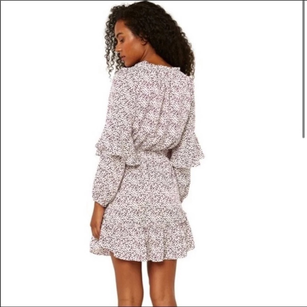 Misa Los Angeles Nehda Dotted Mini Dress - Picture 6 of 11